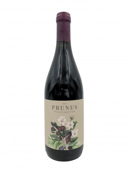 Gota Prunus Tinto